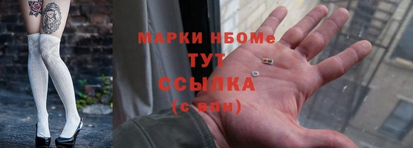 индика Нефтегорск