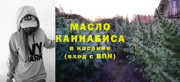 индика Нефтегорск