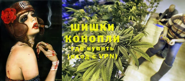 индика Нефтегорск
