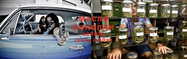 индика Нефтегорск