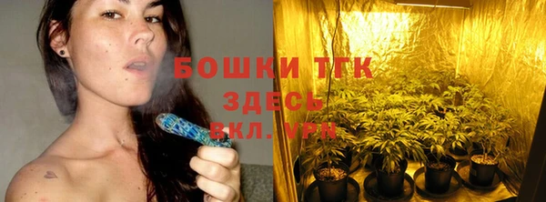 индика Нефтегорск