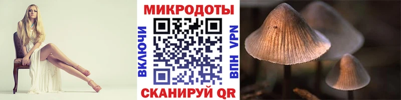 дарнет шоп  Усолье  Галлюциногенные грибы ЛСД 